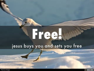 Free! <br>jesus buys you and sets you free<br>