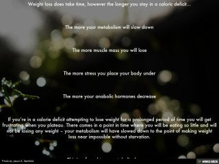 Photo by Jason A. Samfield
 