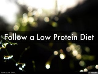 Photo by Jason A. Samfield
 