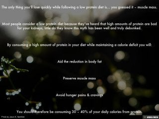 Photo by Jason A. Samfield
 