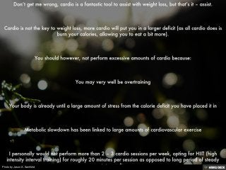 Photo by Jason A. Samfield
 