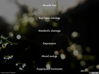 Photo by Jason A. Samfield
 