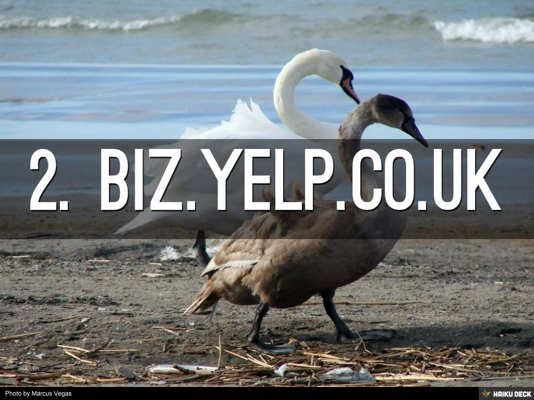 Photo by Marcus Vegas - Creative Commons Attribution-ShareAlike License https://www.flickr.com/photos/60168589@N00 Created with Haiku Deck 
 