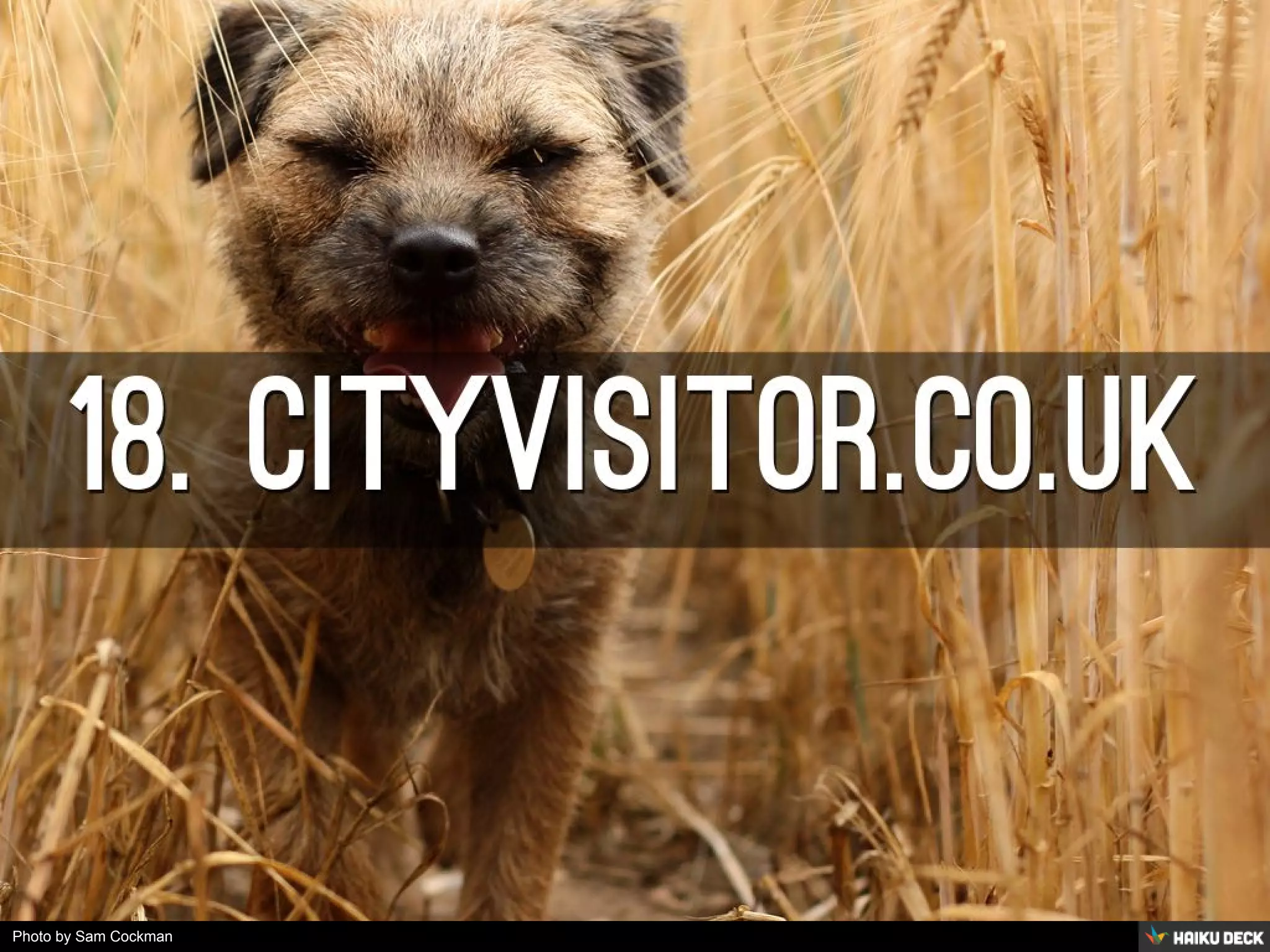 Photo by Sam Cockman - Creative Commons Attribution License https://www.flickr.com/photos/46005710@N07 Created with Haiku Deck 
 