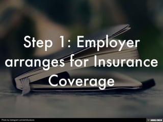 Photo by instragram.com/amirkuckovic
 