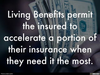 Photo by rafael-castillo
 