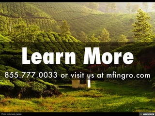 Photo by tornado_twister
 