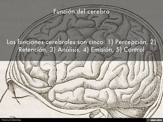 Photo by El Bibliomata
 