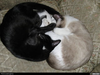 Photo by washuugenius
 