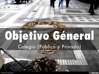Objetivo Géneral  Colegio (Público y Privado) 