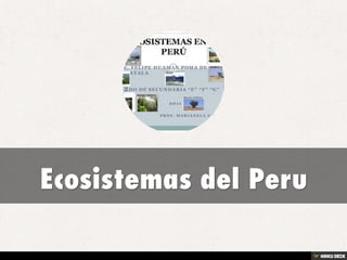 Ecosistemas del Peru 