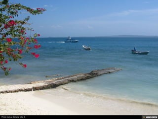 Photo by Luz Adriana Villa A.
 