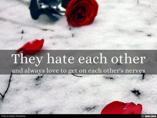 Photo by Katelyn Kenderdine
 