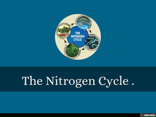 The Nitrogen Cycle . 
