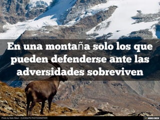 Photo by Sisto Nikon - CLICKALPS PHOTOGRAPHER
 