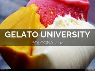 GELATO UNIVERSITY  BOLOGNA 2014 