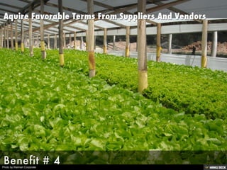 Photo by Walmart Corporate