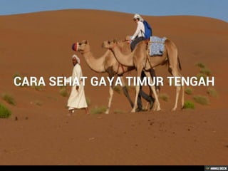 Kegunaan & khasiat minyak zaitun