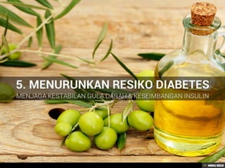 Kegunaan & khasiat minyak zaitun