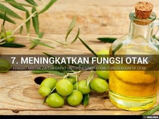 Kegunaan & khasiat minyak zaitun