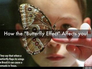 How the &quot;Butterfly Effect&quot; Affects you! 