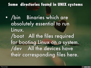 Linux Principles and Philosophy | PDF