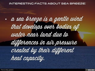 Photo by felipe_gabaldon
 