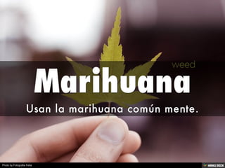 Photo by Fotografia Feita
 