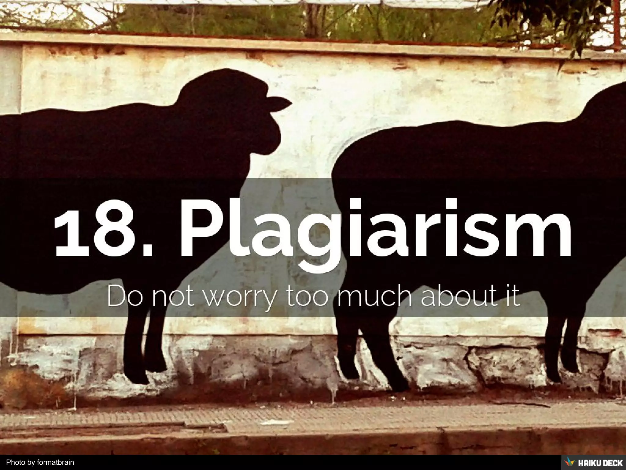 Photo by formatbrain