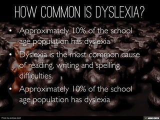 Photo by andreas.klodt
 