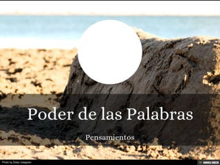 Photo by Didac Udagoien
 