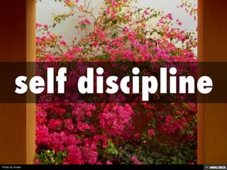 self discipline 