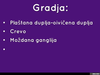puževi
