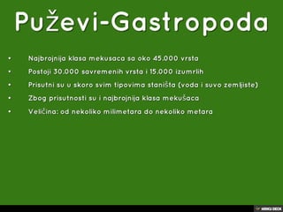 puževi