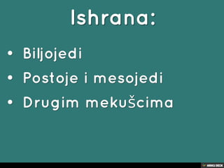 puževi