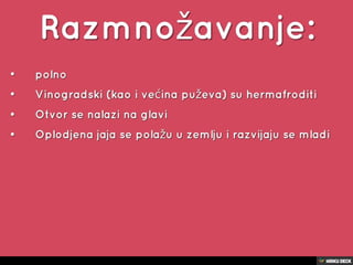 puževi
