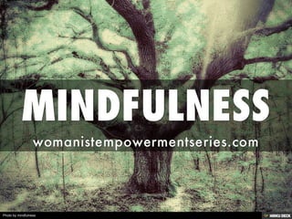Photo by mindfulness
 