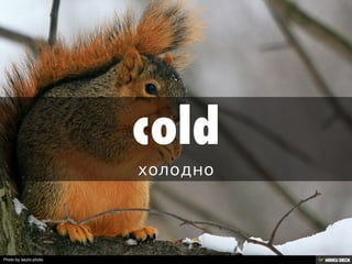 Photo by laszlo-photo
 