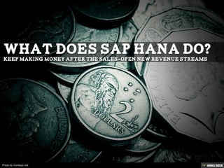 Photo by monkeyc.net
 