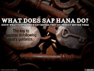 Photo by Leonard John Matthews
 