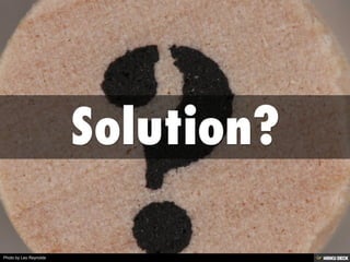 Photo by Leo Reynolds