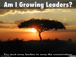 Photo by angela7dreams
 