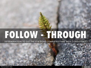 Photo by Derek K. Miller
 