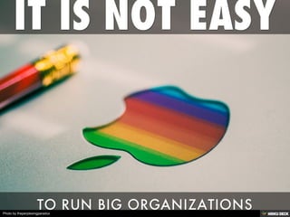 Photo by theperplexingparadox
 