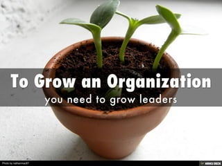 Photo by nathanmac87
 