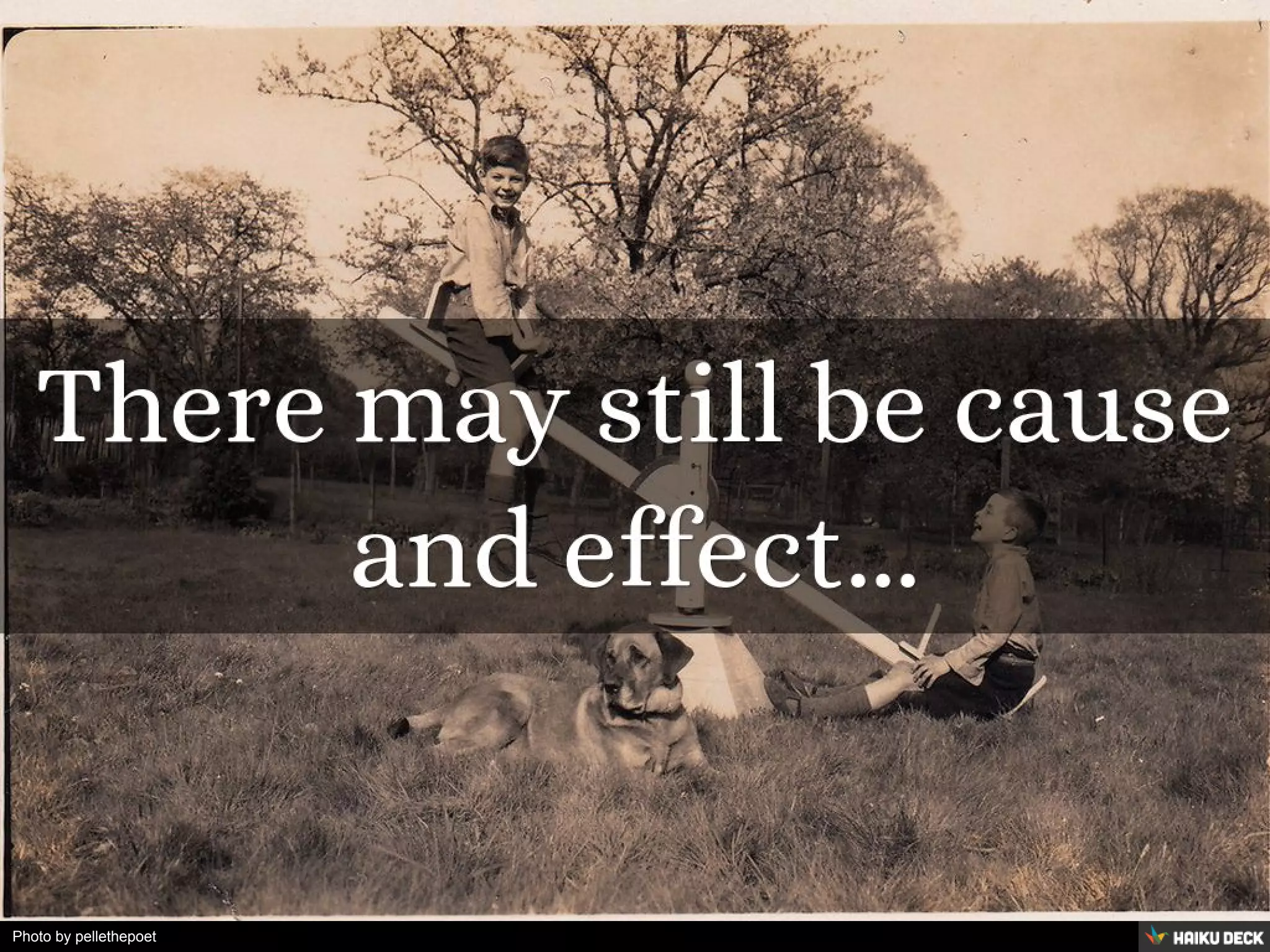 Photo by pellethepoet
 