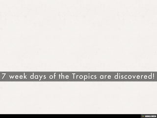 7 week days of the Tropics are discovered! 