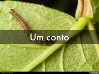 Photo by cacho_please