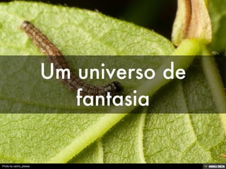 Photo by cacho_please