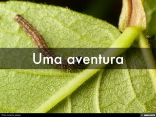 Photo by cacho_please